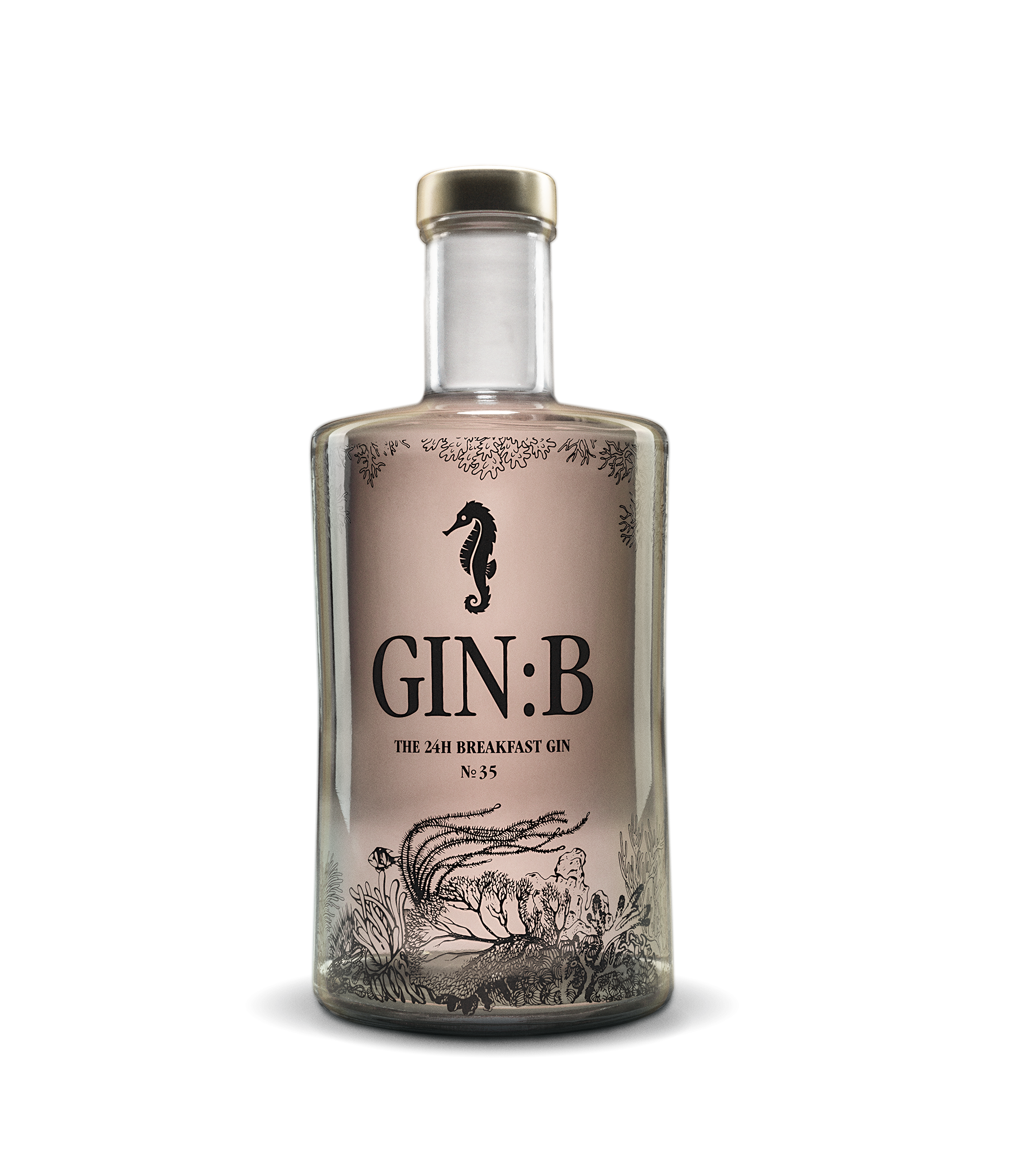 Home - GIN:B - The 24h Breakfast Gin